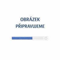 SÁČKY DO KOŠE 630x850 bílé, 8mi, 70-80l, 40ks/rol, 9rol/krt